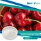 Best Price 100% Organic Acerola Cherry Powder Acerola Cherries Fruit Concentrated Juice Powder
